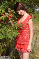 Red Berries